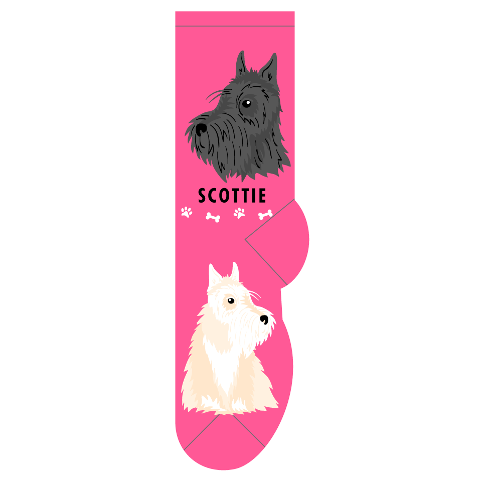 Scottie